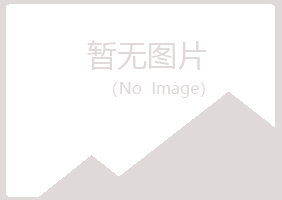 邯郸夏岚演艺有限公司